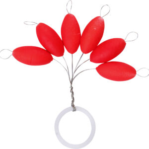 KALIKUNNAN KORALIKI CZERWONE