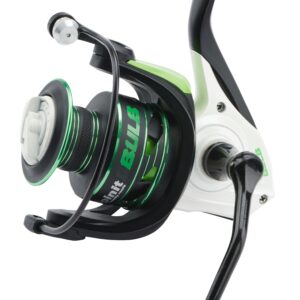 KALIKUNNAN  SPINIT BULB